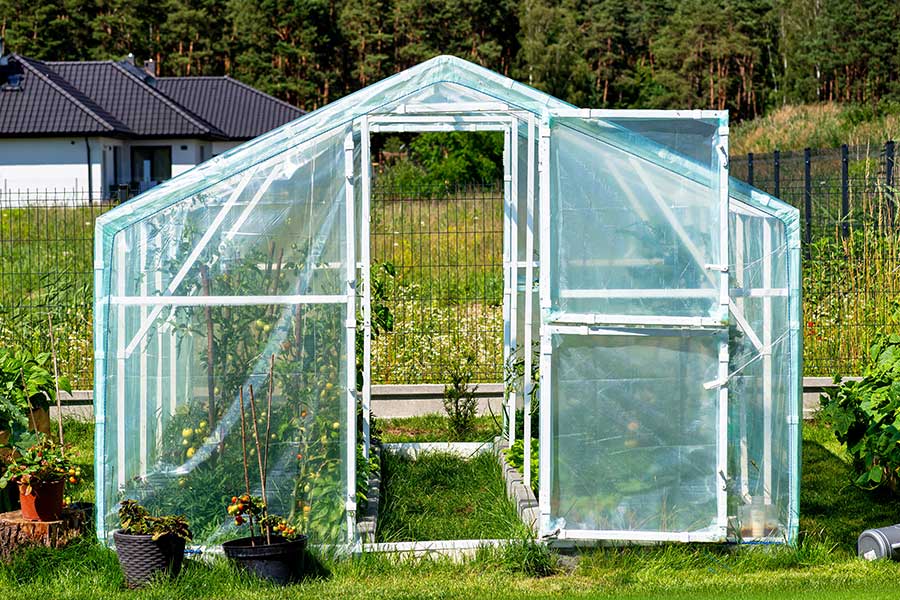 SunElements-Blog_Warum-guenstige-Gewaechshaus-Modelle-langfristig-teurer-sind